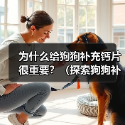 为什么给狗狗补充钙片很重要?(探索狗狗补充钙片的好处及适用情况)(图2) 给狗狗补充钙片的重要性及适用情况全攻略(图2)