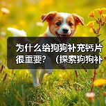 给狗狗补充钙片的重要性及适用情况全攻略