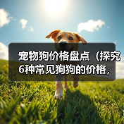 宠物狗价格盘点(探究6种常见狗狗的价格,让你明智选择)(图4) 宠物狗价格盘点|明智选择实用指南(图4)