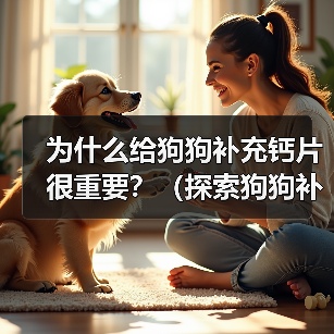 为什么给狗狗补充钙片很重要?(探索狗狗补充钙片的好处及适用情况)(图4) 给狗狗补充钙片的重要性及适用情况全攻略(图4)