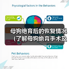 母狗绝育后的恢复情况(了解母狗绝育手术及恢复时间,让你放心养宠物)(图2) 母狗绝育后恢复情况全攻略(图2)
