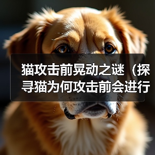 猫攻击前晃动之谜全攻略(图2)
