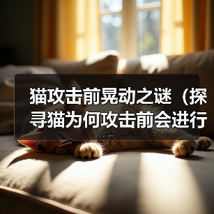 猫攻击前晃动之谜全攻略