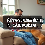 狗的怀孕周期及生产时间(从配种到分娩,了解狗的繁殖过程)(图2) 狗的怀孕周期及生产时间全攻略(图2)