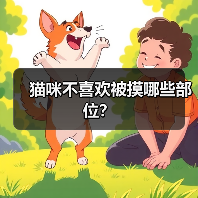 猫咪不喜欢被摸哪些部位?(图2) 猫咪不喜欢被摸哪些部位全攻略(图2)
