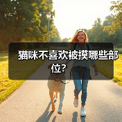 猫咪不喜欢被摸哪些部位?(图4) 猫咪不喜欢被摸哪些部位全攻略(图4)