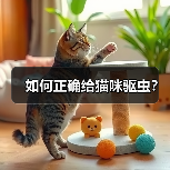 如何正确给猫咪驱虫全攻略(图2)