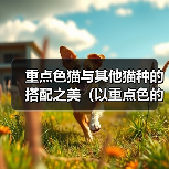 重点色猫与其他猫种搭配之美全攻略