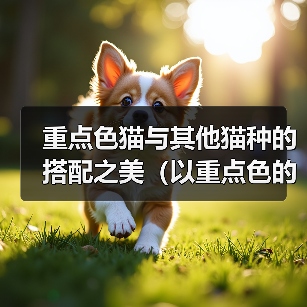 重点色猫与其他猫种搭配之美全攻略(图2)