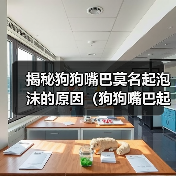 揭秘狗狗嘴巴莫名起泡沫的原因(狗狗嘴巴起泡沫的危害及预防方法)(图2) 揭秘狗狗嘴巴莫名起泡沫的原因全攻略(图2)