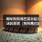揭秘狗狗嘴巴莫名起泡沫的原因全攻略