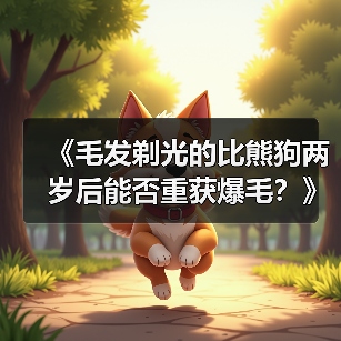 《毛发剃光的比熊狗两岁后能否重获爆毛?》(从无毛到爆毛,比熊狗恢复蓬松毛发的秘密揭秘!)(图2) 比熊狗剃光后如何恢复爆毛全攻略(图2)