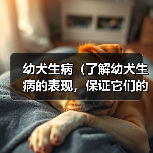 幼犬生病(了解幼犬生病的表现,保证它们的健康和幸福)(图4) 幼犬生病表现全攻略(图4)