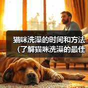 猫咪洗澡的时间和方法(了解猫咪洗澡的最佳时间和正确的洗澡方法)(图3) 猫咪洗澡的正确方法和最佳时间全攻略(图3)