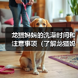 龙猫妈妈洗澡时间和注意事项全攻略