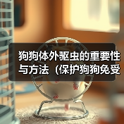 狗狗体外驱虫全攻略｜保护健康必备措施
