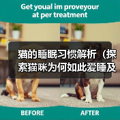 猫的睡眠习惯解析(探索猫咪为何如此爱睡及其对生活的影响)(图3) 猫的睡眠习惯解析|科学养护全攻略(图3)