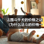 法国斗牛犬价格高原因解析｜购买全攻略(图3)
