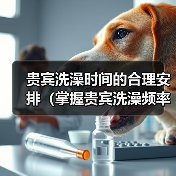 贵宾洗澡时间的合理安排(掌握贵宾洗澡频率,让毛发更健康)(图2) 贵宾洗澡频率全攻略(图2)