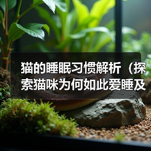 猫的睡眠习惯解析(探索猫咪为何如此爱睡及其对生活的影响)(图2) 猫的睡眠习惯解析|科学养护全攻略(图2)