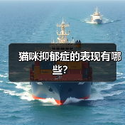 猫咪抑郁症表现有哪些｜常见症状及改善方法全攻略