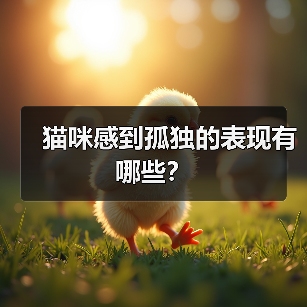 猫咪感到孤独的表现有哪些?(图3) 猫咪孤独表现识别指南|养猫必备知识(图3)