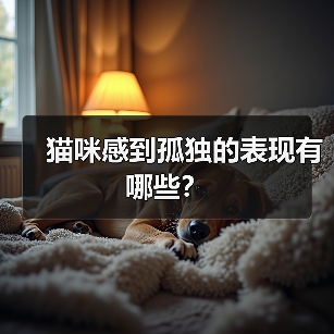 猫咪感到孤独的表现有哪些?(图4) 猫咪孤独表现识别指南|养猫必备知识(图4)