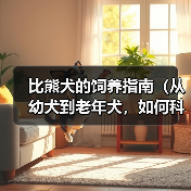 比熊犬的饲养指南(从幼犬到老年犬,如何科学照顾你的比熊宝贝)(图3) 比熊犬饲养全攻略|从幼犬到老年科学照顾指南(图3)
