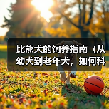 比熊犬的饲养指南(从幼犬到老年犬,如何科学照顾你的比熊宝贝)(图4) 比熊犬饲养全攻略|从幼犬到老年科学照顾指南(图4)