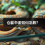 仓鼠中暑如何急救?(图3) 仓鼠中暑急救方法|科学降温实用指南(图3)