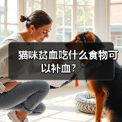 猫咪贫血吃什么食物可以补血?(图2) 猫咪贫血补血吃什么|科学喂养全攻略(图2)