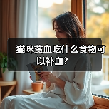 猫咪贫血吃什么食物可以补血?(图4) 猫咪贫血补血吃什么|科学喂养全攻略(图4)