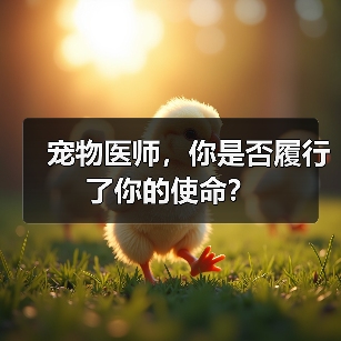宠物医师的使命与责任思考｜职业反思
