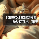 8张图带你解锁新技能——膀胱切开术(附手术视频)(图1) 膀胱切开术详解|手术步骤与注意事项全攻略(图1)