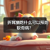 折耳猫吃什么可以预防软骨病?(图2) 折耳猫饮食预防软骨病指南|科学喂养核心技巧(图2)