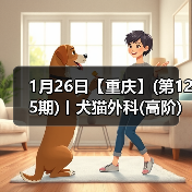 犬猫外科高阶实操班｜SUB技术与复杂手术掌握全攻略(图2)