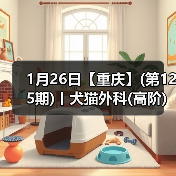 犬猫外科高阶实操班｜SUB技术与复杂手术掌握全攻略