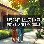 犬猫外科高阶实操班｜SUB技术与复杂手术掌握全攻略(图4)