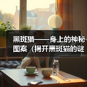 黑斑猫——身上的神秘图案(揭开黑斑猫的谜团,了解身上黑斑的来源)(图2) 黑斑猫身上黑斑形成原因全攻略(图2)