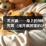 黑斑猫——身上的神秘图案(揭开黑斑猫的谜团,了解身上黑斑的来源)(图3) 黑斑猫身上黑斑形成原因全攻略(图3)