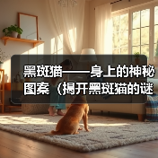 黑斑猫——身上的神秘图案(揭开黑斑猫的谜团,了解身上黑斑的来源)(图4) 黑斑猫身上黑斑形成原因全攻略(图4)