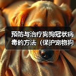 预防与治疗狗狗冠状病毒的方法(保护宠物狗免受冠状病毒感染的有效措施)(图2) 狗狗冠状病毒预防与治疗指南|实用防护措施(图2)