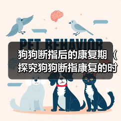 狗狗断指后的康复期(探究狗狗断指康复的时间及相关注意事项)(图2) 狗狗断指康复期全攻略|护理与恢复要点解析(图2)