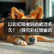 彩虹吸蜜鹦鹉寿命影响因素全解析(图2)