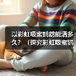 彩虹吸蜜鹦鹉寿命影响因素全解析(图3)