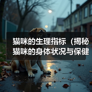 猫咪生理指标全攻略(图2)