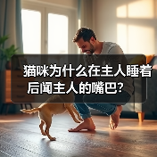 猫咪闻主人嘴巴原因解析｜行为背后的心理信号