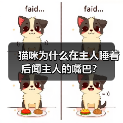 猫咪闻主人嘴巴原因解析｜行为背后的心理信号(图4)