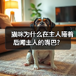 猫咪闻主人嘴巴原因解析｜行为背后的心理信号(图3)