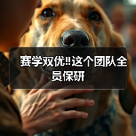 赛学双优‼️这个团队全员保研(图4) 赛学双优团队全员保研|保研经验分享(图4)